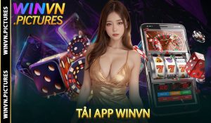 Tải App Winvn